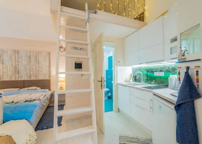 Urban Nest Synagouge